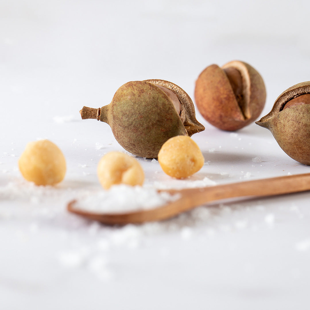 House of Macadamias Dry Roasted Macadamia Nuts – Namibian Sea Salt | 40g or 113g | Keto, Vegan, Low Carb
