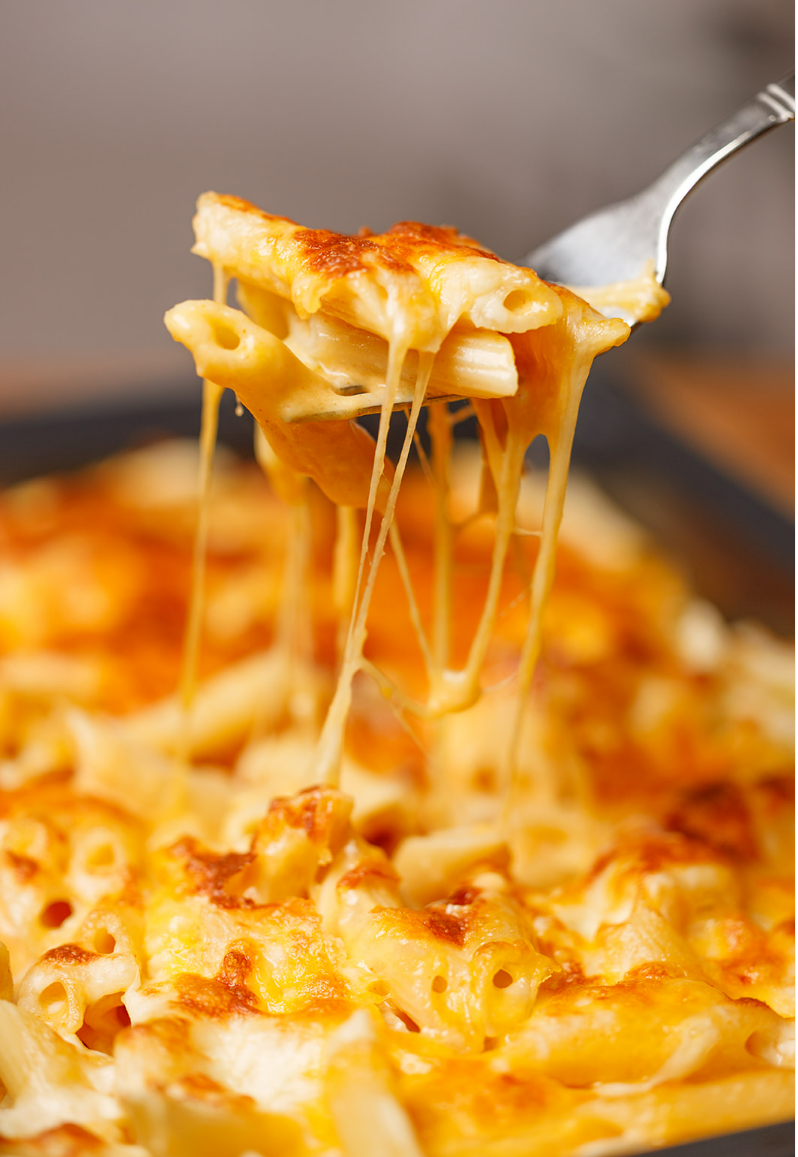 Fiber Gourmet Light Pasta Penne – High Fiber, Low Calorie, Gut-Friendly Pasta (227g)