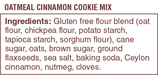 Autumn Sons Oatmeal Cinnamon Cookie Mix | Gluten-Free, Vegan, Non-GMO, Nut-Free | 265g