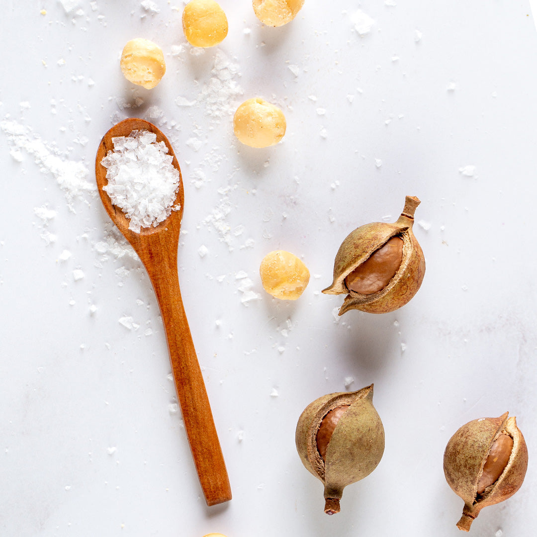 House of Macadamias Dry Roasted Macadamia Nuts – Namibian Sea Salt | 40g or 113g | Keto, Vegan, Low Carb