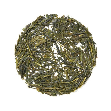 DAVIDsTEA Organic Japanese Sencha – 12 Sachets