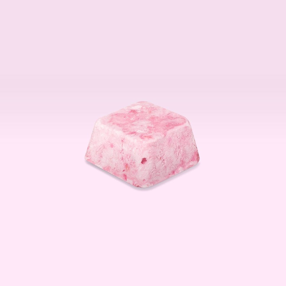 Origo Freeze-Dried Strawberry Yogurt Bites | Probiotic Snack | Grass-Fed Organic Dairy | Made in Canada | Crunchy Healthy Snack - Healthily Ever After